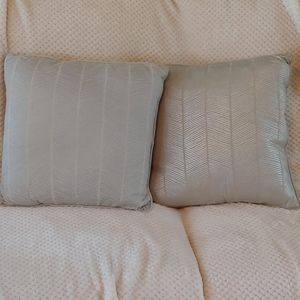 2 Feather Filled Decorative Pillows